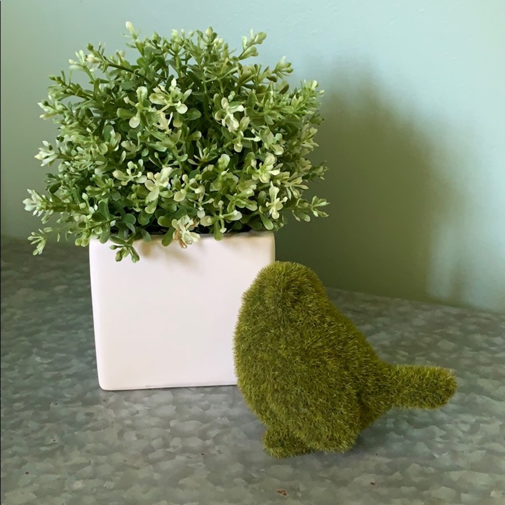 White ceramic planter with green & white floral